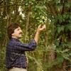 Forest Home ca 1988.
LeConte Pear Tree planted in front yard in 1879. Plant came from Smarrs, Ga. and planted by Loretto Norwood, Dr. C.M. Howard's sister. Howard Wadsworth looking at pear tree  on July 2, 1988.