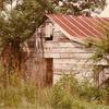 Forest Home - "New Barn" built early 1940's