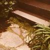 Forest Home - Back Door Steps. The stones were from China Grove Methodist Church, Elmore County.