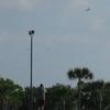 Orbiter comes into view over the parking lot at the Kennedy Visitor Complex.