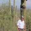 Arizona Desert - Frank Wadsworth