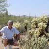 Arizona Desert - Frank Wadsworth