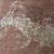 Insect Burrow found on a core sample. This insect lived during the age of the dinosaurs over 80 million years ago.